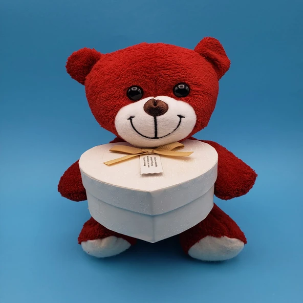 Kırmızı Kalp Kutulu Ayı ürün görseli 1