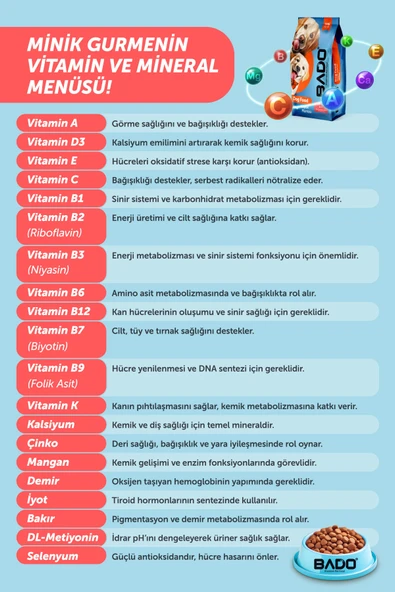 Bado Anne Yavru Köpek Maması Biftekli 10 Kg - Resim 7