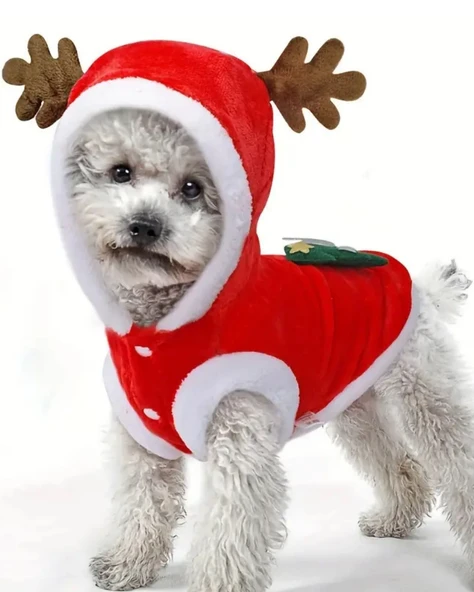 Noel Baba Geyiği Köpek Kostümü – Küçük Irk Evcil Hayvanlar İçin Polyester Kapüşonlu Çıtçıtlı Fleece Tatil Kıyafeti ürün görseli