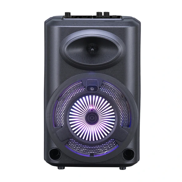 GD-903 Dijital LED Göstergeli FM Radyolu Mikrofonlu RGB TWS 8 inç Stereo Bass Kablosuz Karaoke Hoparlör ürün görseli