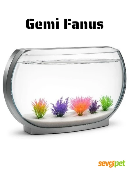 Dekoratif Şık Tasarım Gemi Fanus Akvaryum Balık Fanusu