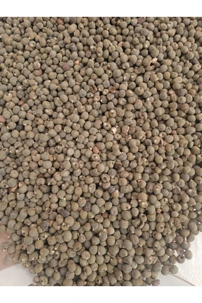 Bamya Tohumu Yerli 500 gr (ilaçsız- Yenilebilir) 1. Kalite elenmiş Yeni Mahsül - 2