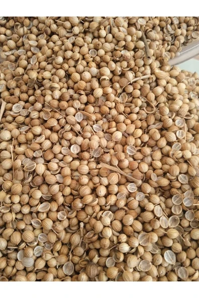 Kişniş Tohumu 100 gr