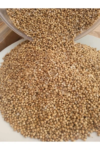 Kişniş Tohumu 100 gr - 3