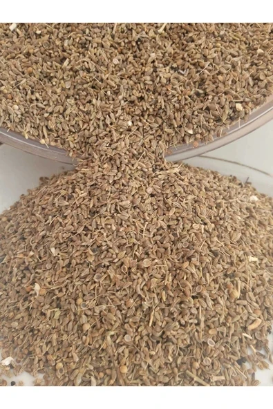 Anason Tohumu 50 gr - 1