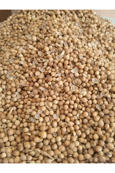 Kişniş Tohumu 100 gr - 2