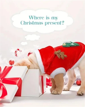 Noel Baba Geyiği Köpek Kostümü – Küçük Irk Evcil Hayvanlar İçin Polyester Kapüşonlu Çıtçıtlı Fleece Tatil Kıyafeti - Resim 6