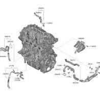 Kia Sportage 1.6 2020 Radyatör Alt Su Bağlantı Aparatı Mobis.256312m800 - Resim 2