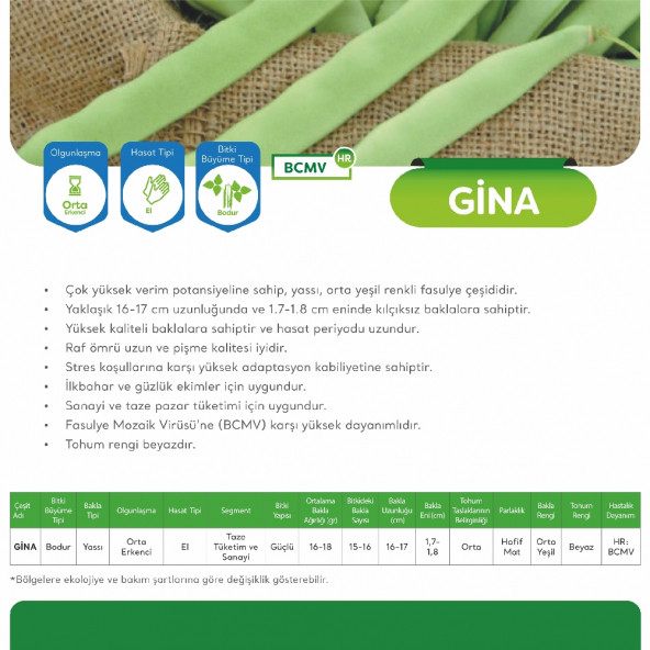May Gina Bodur Fasülye Tohumu 2 Kg - 3