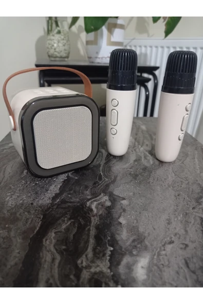 Arden taşınabilir bluetoothlu karaoke hoparlör