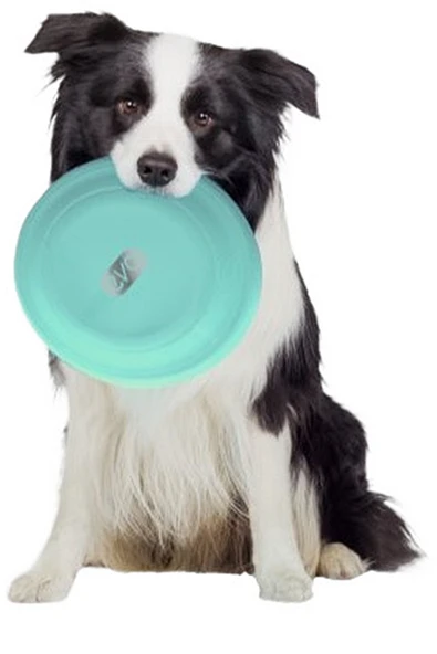 Boldy Evcil Hayvan Frizbi - Disk Köpek Oyuncağı - Frizbi Köpek Oyunu - Pet Frizbi - Frisbee - Frizbi Pet - 4