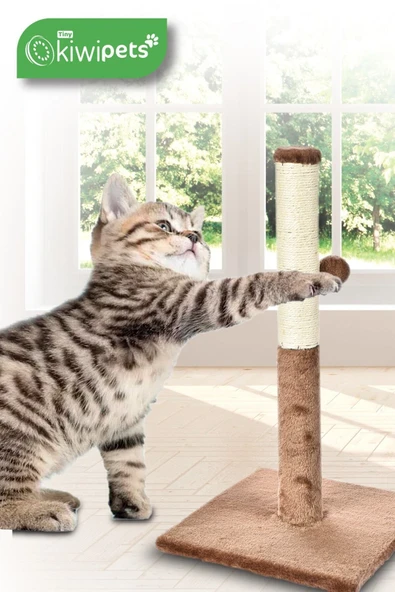 kiwi pets KPT 10620 Kedi Direği Tırmalama Tahtası - 2