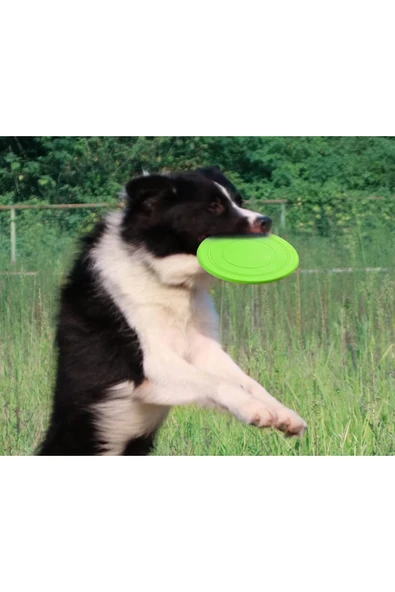 Boldy Evcil Hayvan Frizbi - Disk Köpek Oyuncağı - Frizbi Köpek Oyunu - Pet Frizbi - Frisbee - Frizbi Pet - 5