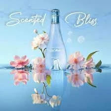 Davidoff Cool Water Kadın Parfüm EDT 100 ML - Resim 3