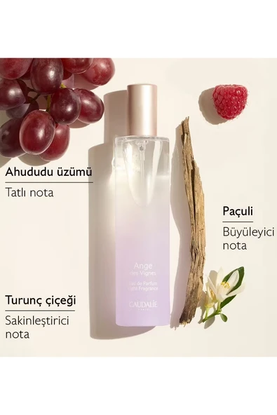 Caudalie Ange Des Vignes Parfüm 50 ml - 3