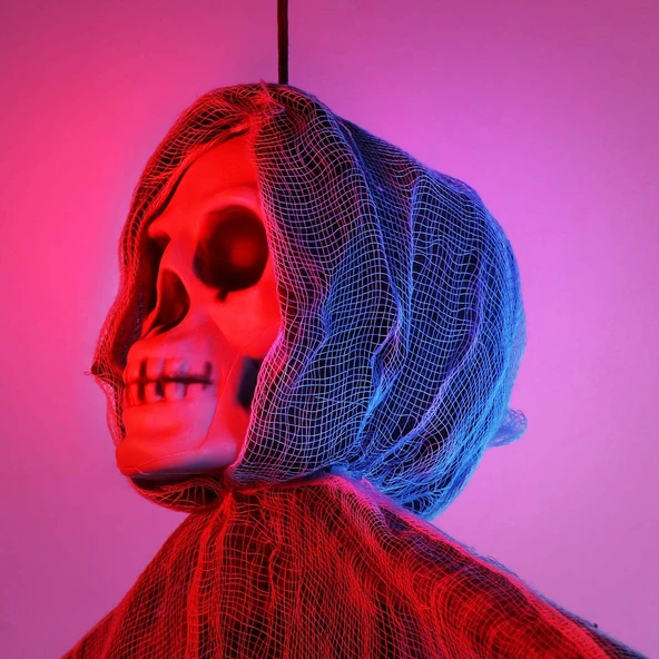 Ürpertici Kuru Kafa Hayalet Saçaklı Dekor - Resim 2