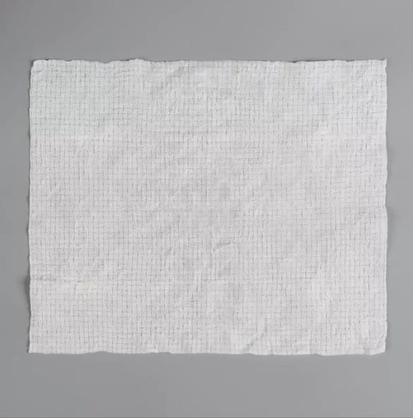 Suda Büyüyen Sıkıştırılmış Mendil 20 Adet - 3