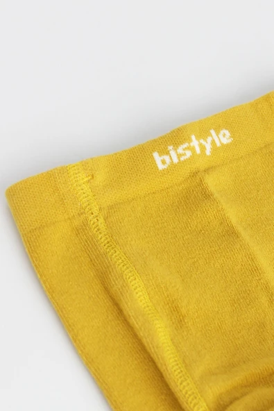 Bistyle Derby Mix Tekli Penye Külotlu Çorap BS50102M Sarı - 4