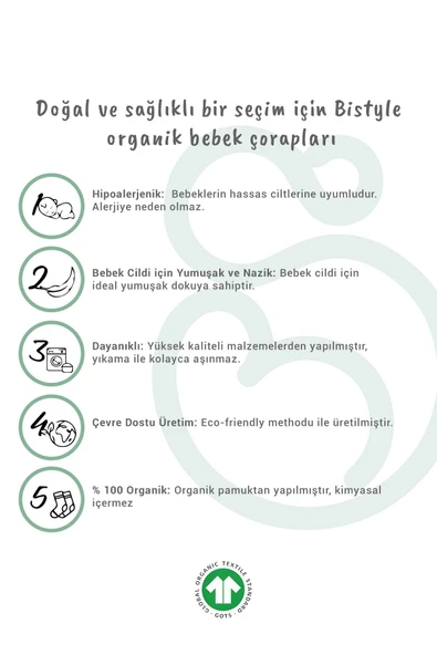 Bistyle 2'Li Penye Babet Silikonlu Basic Çorap 30104 Gri Beyaz - 3