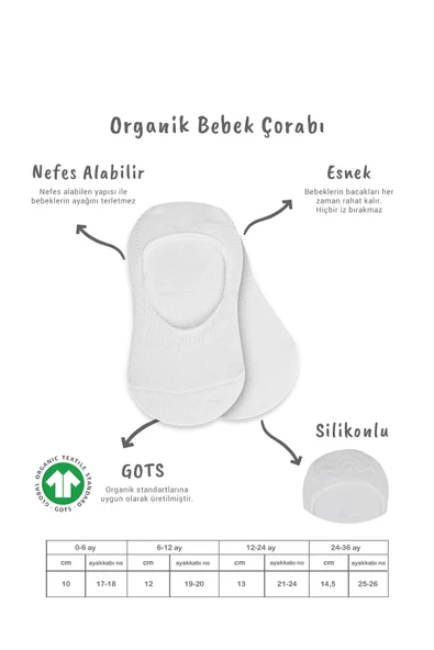 Bistyle 2'Li Penye Babet Silikonlu Basic Çorap 30104 Gri Beyaz - 2