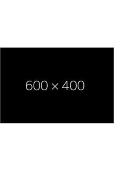 DALİN Sıvı Çamaşır Deterjanı 1500 Ml - Resim 3