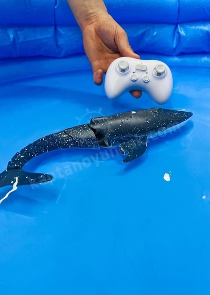 18002-32 - U/K SU FIŞKIRTAN YÜZEN BALİNA - 2