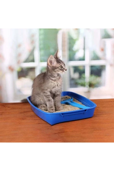 Proline Bebek Pudralı Bentonit Kedi Kumu 5 Lt - Resim 5