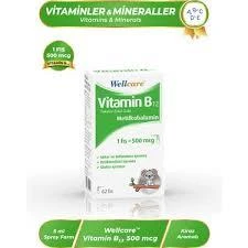 Wellcare Vitamin B12 500 mcg Sprey 5 ml ürün görseli