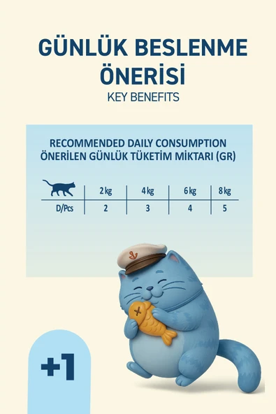 Petipure Somonlu Yaş Kedi Maması 85 gr x 24 Adet – Jöle İçinde Parça Etli - Yetişkin Kedi - 6