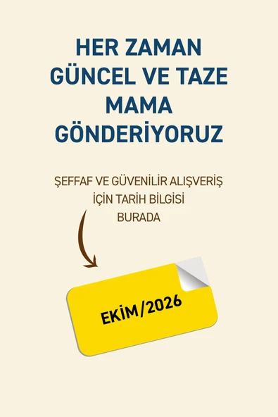 Petipure Tavuklu Kuru Yetişkin Kedi Maması 500 Gr - 8