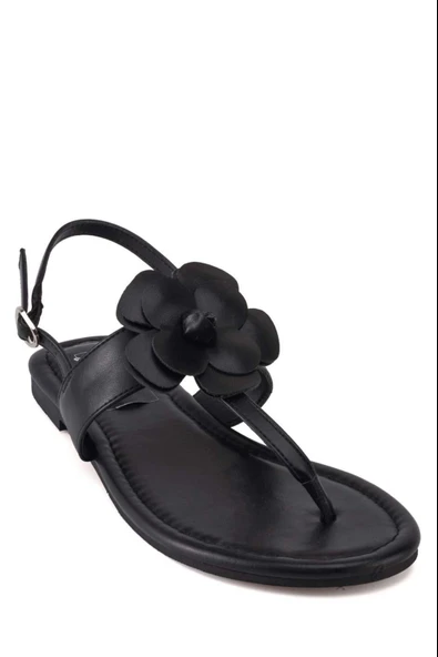 Stato Çiçek Detaylı Kadın Sandalet Siyah - Resim 5