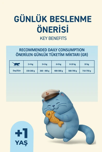 Petipure Somonlu Yaş Konserve Yetişkin Kedi Maması, Jöle İçinde Parça Etli, 400 gr x 12 Adet - 6