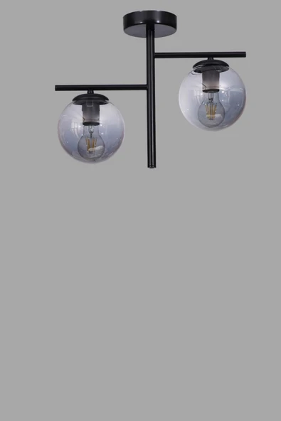 Lumexx TERRA 2 Lİ SİYAH FÜME CAMLI PLAFONYER AVİZE - Resim 3
