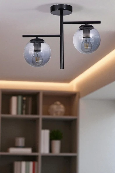 Lumexx TERRA 2 Lİ SİYAH FÜME CAMLI PLAFONYER AVİZE ürün görseli