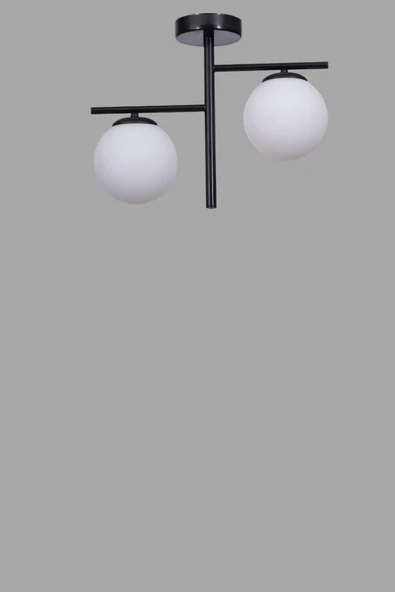 Lumexx TERRA 2 Lİ SİYAH BEYAZ CAMLI PLAFONYER AVİZE - Resim 3