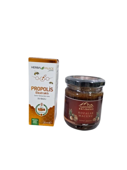 YERLİ BEYAZ PROPOLİS DAMLA 20ml + ÇAM KOZALAĞI MACUNU 240gr KIŞ SETİ ürün görseli