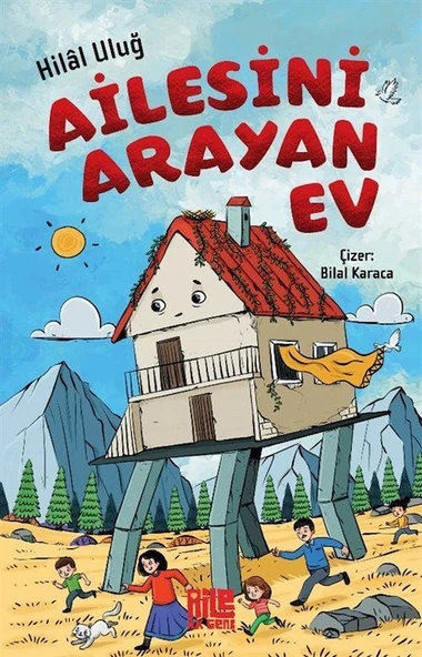 Ailesini Arayan Ev ürün görseli