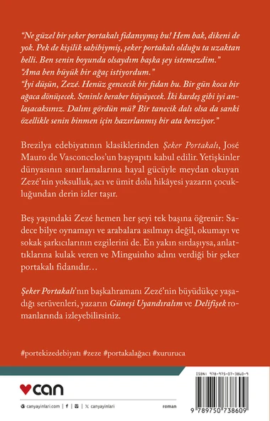 Şeker Portakalı - Resim 2