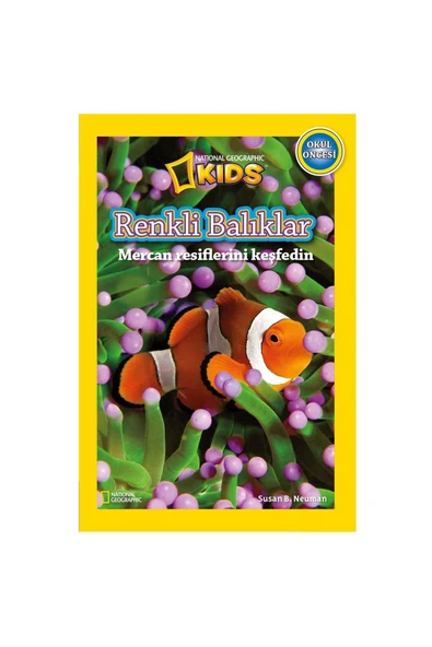 Beta Kids / Renkli Balıklar - Okul Öncesi ürün görseli 1