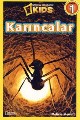 Karıncalar - Seviye 1 ürün görseli