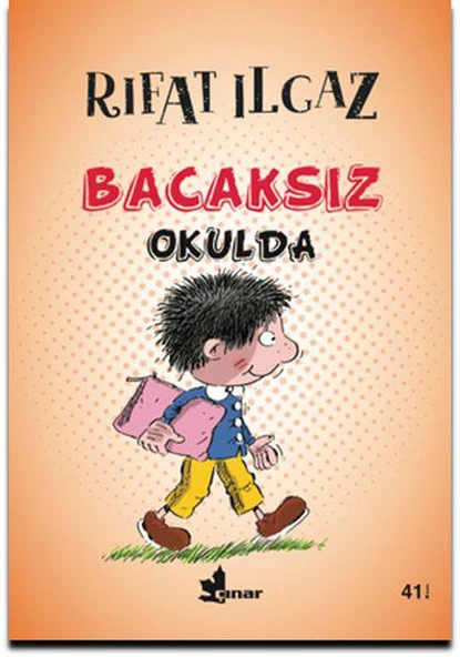 Çınar / Bacaksız Okulda ürün görseli