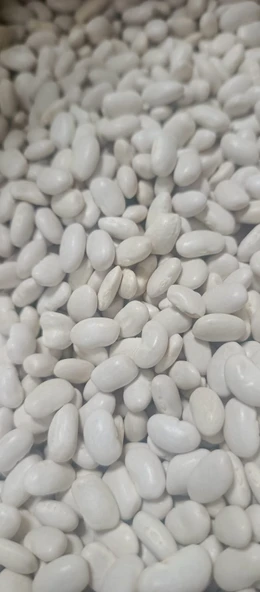 FİLİZ ZEYTİNCİLİK DOĞAL KÖY FASULYESİ 1000 g ürün görseli