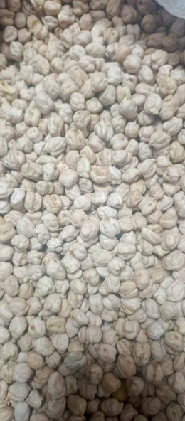 FİLİZ ZEYTİNCİLİK DOĞAL KÖY NOHUTU 1000 g ürün görseli 1