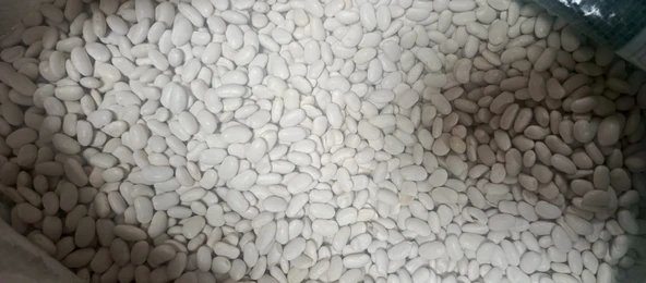 FİLİZ ZEYTİNCİLİK DOĞAL KÖY FASULYESİ 1000 g - Resim 2