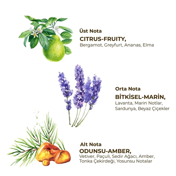 Eyüp Sabri Tuncer Erkek Roll On Deodorant 75 ml Active - Resim 2