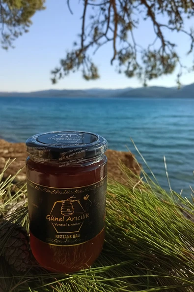 Kestane Balı 400 gr ürün görseli