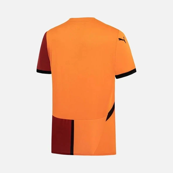 Puma 779650-01 Galatasaray 24/25 Erkek İç Saha Parçalı Forma Sarı-Kırmızı - 6