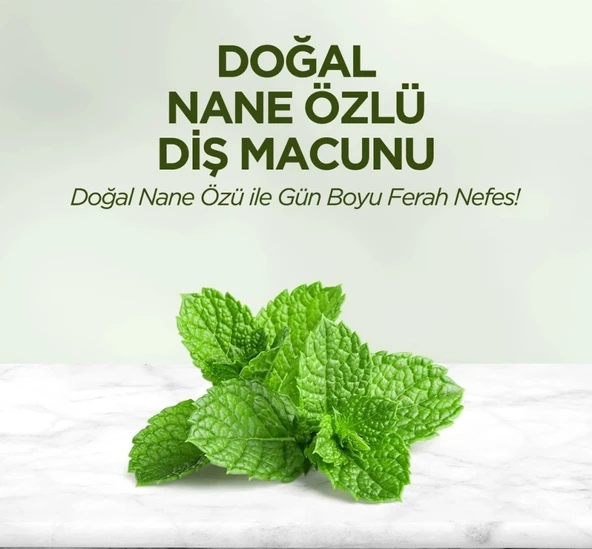 Eyüp Sabri Tuncer Doğal Diş Macunu 90 Gr Nane Özlü - 4