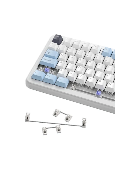 FreeWolf F75 Kablosuz Oyun Klavyesi %75 Hotswap.Üç Modlu Bağlantı 4000 mAh Pil - Resim 4