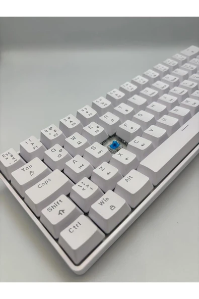 silabor T60 Beyaz Renk Mavi Switch RGB Mekanik Kablolu Driverli Oyuncu Klavyesi T60 Mini Türkçe Q Klavye - Resim 6